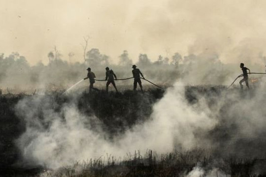 Khói mù từ các đám cháy ở Indonesia khiến nhiều nước Đông Nam Á ô nhiễm không khí