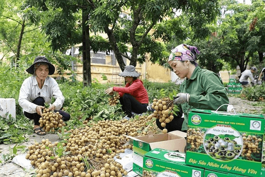 Hưng Yên hỗ trợ phụ nữ khởi nghiệp, thúc đẩy chuyển đổi số và chuyển đổi xanh