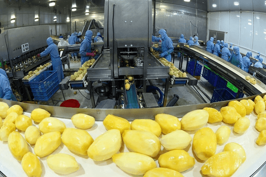 Việt Nam – EU: Nâng chuẩn nông sản xuất khẩu, thúc đẩy chuyển đổi xanh
