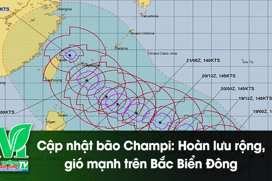 [VIDEO] Cập nhật bão Champi: Hoàn lưu rộng hàng trăm km, Bắc Biển Đông cảnh báo gió mạnh