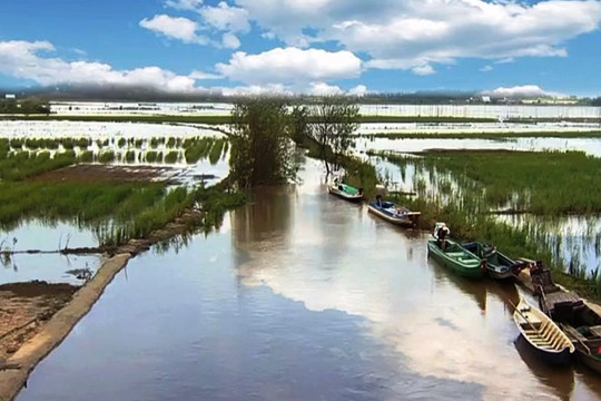 Lũ đầu nguồn sông Cửu Long giảm, chuẩn bị vụ Đông Xuân