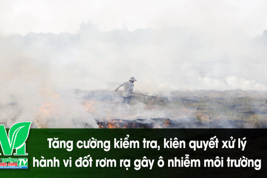 [VIDEO] Tăng cường kiểm tra, kiên quyết xử lý hành vi đốt rơm rạ gây ô nhiễm môi trường