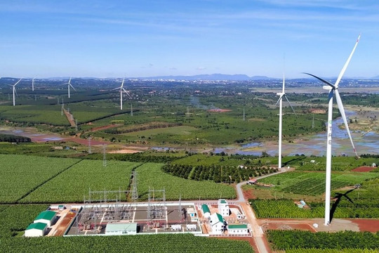 Gia Lai mở rộng nông nghiệp công nghệ cao, thúc đẩy chuyển đổi xanh