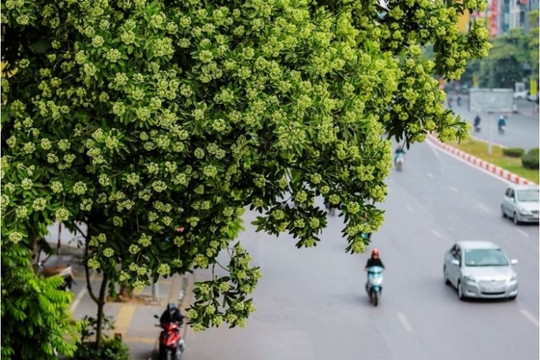 Dự báo thời tiết Hà Nội ngày 23/10/2026: Chiều tối và đêm có mưa vài nơi, ngày nắng