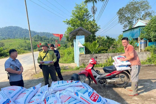 Thanh Hóa: Đẩy mạnh phát triển rừng gỗ lớn, nâng cao giá trị kinh tế lâm nghiệp