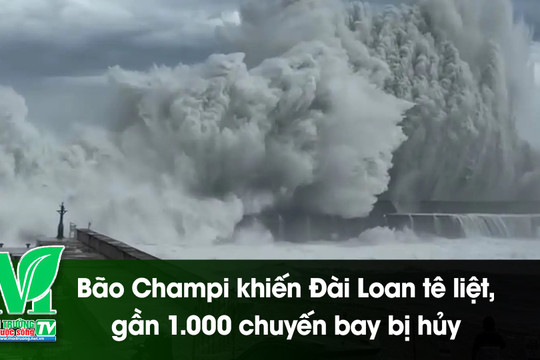 [VIDEO] Bão Champi khiến Đài Loan tê liệt, gần 1.000 chuyến bay bị hủy