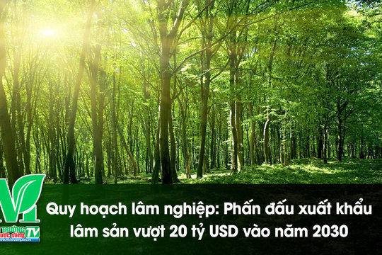 [VIDEO] Quy hoạch lâm nghiệp: Phấn đấu xuất khẩu lâm sản vượt 20 tỷ USD vào năm 2030