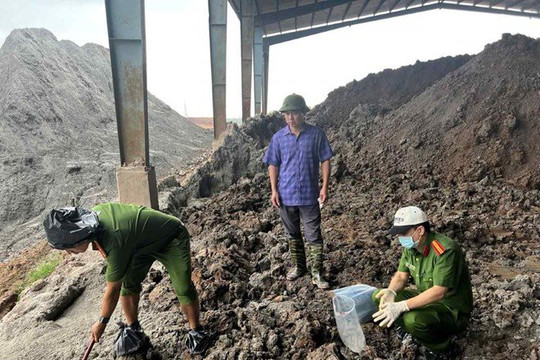 Hải Phòng: Truy tố Giám đốc Tân Thuận Phong về hành vi gây ô nhiễm môi trường