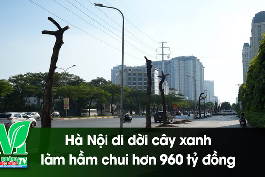 [VIDEO] Hà Nội di dời hàng loạt cây xanh, xây hầm chui hơn 960 tỷ đồng
