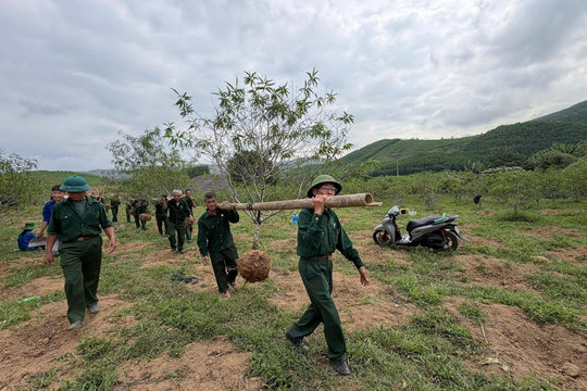 Xã Thanh Kỳ (Thanh Hóa): Hỗ trợ người dân di dời cây trồng, bàn giao mặt bằng dự án đường Thanh Tân - Bò Lăn