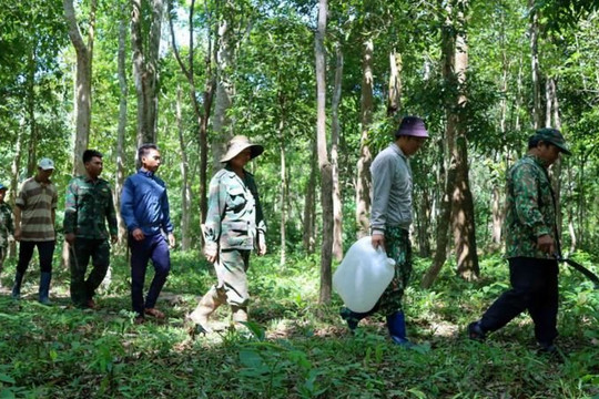 Quảng Ngãi gắn lợi ích kinh tế với trách nhiệm bảo vệ rừng