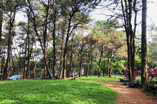 Hà Nội đề xuất điều chỉnh địa giới nhằm nâng cao hiệu quả quản lý Vườn quốc gia Ba Vì