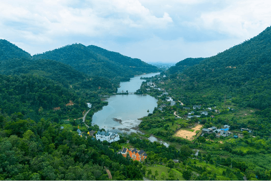 “Xẻ thịt” đất lâm nghiệp: Đổi rừng lấy "vàng giả"