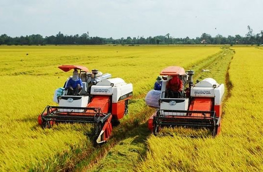 Đồng bằng sông Cửu Long triển khai dự án lúa gạo phát thải thấp, hướng tới giảm 748.000 tấn carbon