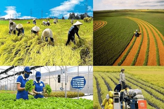 Việt Nam đề xuất 3 ưu tiên thúc đẩy nông nghiệp xanh ASEAN giai đoạn 2026-2030