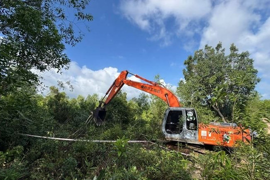 Phú Quốc siết chặt xử lý vi phạm đất rừng, bảo vệ rừng đặc dụng và rừng phòng hộ