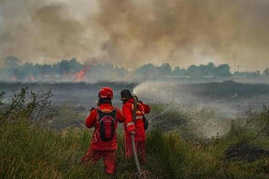 Indonesia: Khói cháy rừng khiến hàng nghìn người tử vong, 58 triệu người phơi nhiễm ô nhiễm không khí