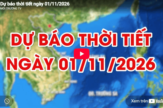 Dự báo thời tiết ngày 01/11/2026: Ngày nắng, đêm có mưa rào và dông vài nơi
