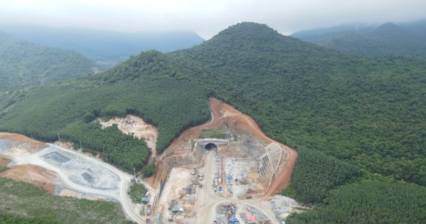 moitruong.net.vn