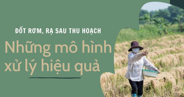 Đốt rơm, rạ sau thu hoạch: Những mô hình xử lý hiệu quả