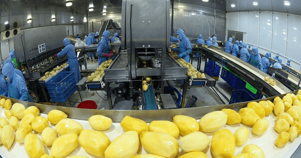 Việt Nam – EU: Nâng chuẩn nông sản xuất khẩu, thúc đẩy chuyển đổi xanh